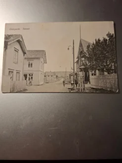 Tradera GATEPARTI TØNSET 1915| Nordiske Lande