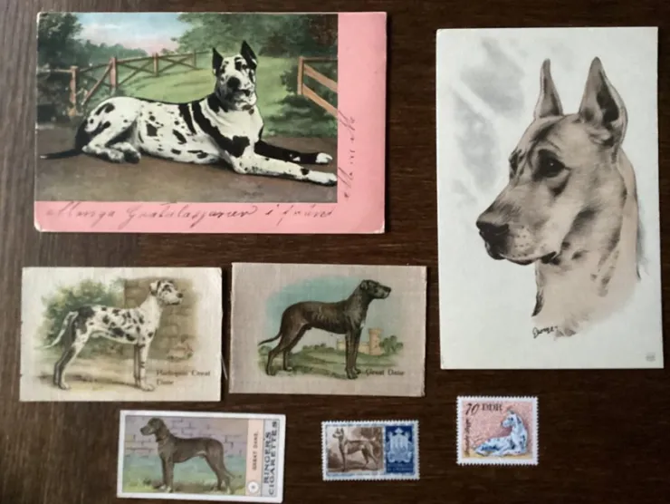 Tradera GRAND DANOIS HUND VYKORT FINA ENGELSKA SAMLARBILDER SIDEN FRIMÄRKEN GAMMALT| Generelle Motiver