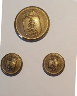 Tradera Hedemora brandförsvar, knappar med Hedemoragranen!> Militære Samlerobjekter