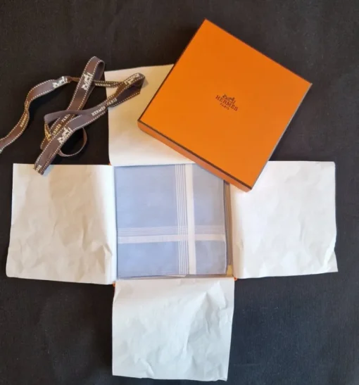 Fashion Hermés näsduk / liten scarf i ljusbått Andet Tilbehør