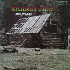 Tradera Joe Walsh | Vinyl