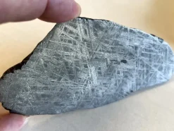 Fashion Järnmeteorit - GIBEON - Iron IVA - skiva - 269 g Arkæologi