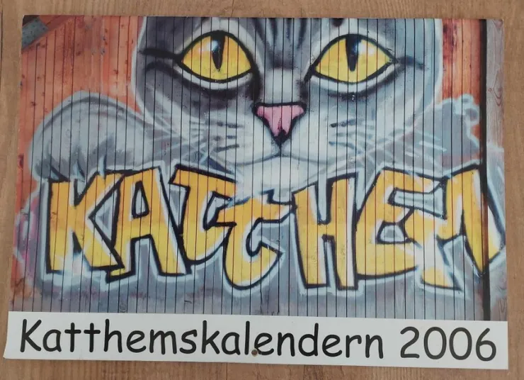 Store Kattkalender 2006 med kändisar bla Magnus Carlsson Svennis Nanne Grönwall Almanakker & Kalendere