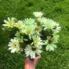 Tradera Konstgjord blombukett bukett gröna snittblommor fakeväxt konstväxt| Kunstige Planter