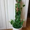 Tradera Konstträd | Kunstige Planter