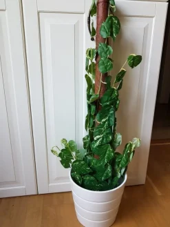 Tradera Konstträd | Kunstige Planter