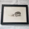 Shop Lasse Åberg, Tryckt bild med igelkott i svart ram.Ca 20x15 cm. Øvrige Antikviteter & Design