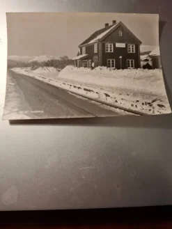 Tradera LESJASKOG STASJON| Nordiske Lande