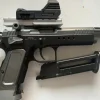 Tradera Luftpistol, Tanfoglio limited custom> Skydning
