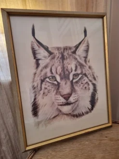 Tradera Lynx Lodjur i ram| Anden Kunst