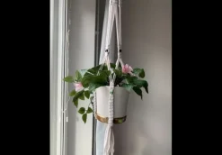 Tradera Macrame Plant Hanger New| Andet Til Haven