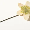 Tradera Majblomma 1918> Majblomster