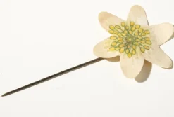 Tradera Majblomma 1918> Majblomster