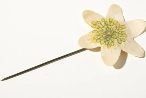 Tradera Majblomma 1918> Majblomster