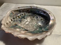 Tradera Mycket vacker naturlig Abalone snäcka, stor, ca 19x16,5 cm| Smykkefremstilling