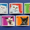 Tradera Nicaragua 1984 Katter Kpl serie postfriskt **| Sydamerika & Caribien