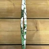 Tradera NYCKELBAND I TYG FRÅN SVENSKT TENN, MÖNSTER FRÅN JOSEF FRANK / TEXTIL LA PLATA| Tilbehør