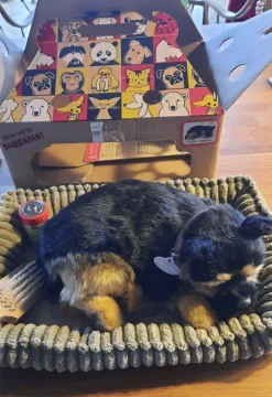 Tradera Perfect Petzzz - Andas German Shepherd valp> Øvrigt Samlerlegetøj