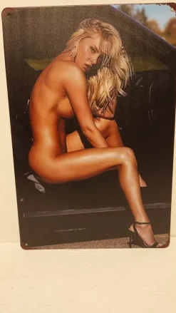 Tradera Pinup Fitness naturist/nudist girl plåtskylt> Skilte