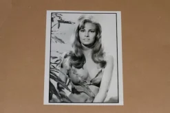 Tradera Raquel Welch fotografi foto Giganternas kamp> Filmmemorabilia