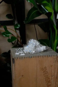 Tradera Självhäftande växtklämmor 10-pack| Haveredskaber
