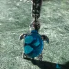 Tradera Sköldpadda berlock I silver 925 och muranoglas från Pandora> Andre Smykker