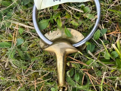 Tradera Stübben Golden Wings bett 125 mm> Ridning Og Ridesport