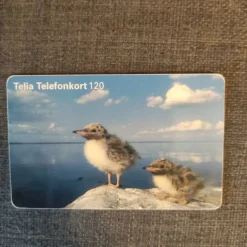 Tradera Telia Telefontkort 120 - Fåglar> Telefonkort