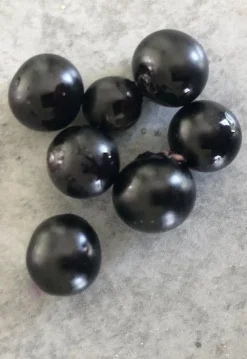 Tradera Ätliga sällsynta bär som heter ”hei tien tsai| Planter Og Frø