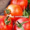 Tradera Tomatfrön Red Vernissage| Planter Og Frø