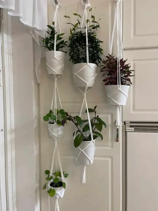 Tradera Tre styck amplar för 6 krukor/ växter, plantor| Potter & Plantedyrknings-systemer