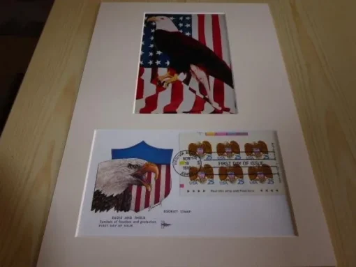 Tradera USA Bald Eagle fotografi & förstadagsbrev med passepartout storlek A4| Nordamerika