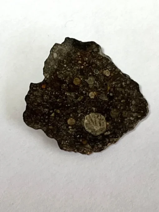Discount Vacker stenmeteorit - Northwest Africa 15729 - Kondrit LL3 - Ändskärning - 6.5g Arkæologi