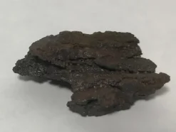 Shop WABAR oxiderat järn meteorit - IRON IIIAB - 9.1 g Arkæologi